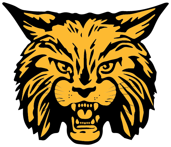 Carrier Mills-stonefort High Sch Logo