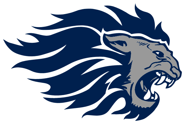 Lake Nona Youth Sports Logo