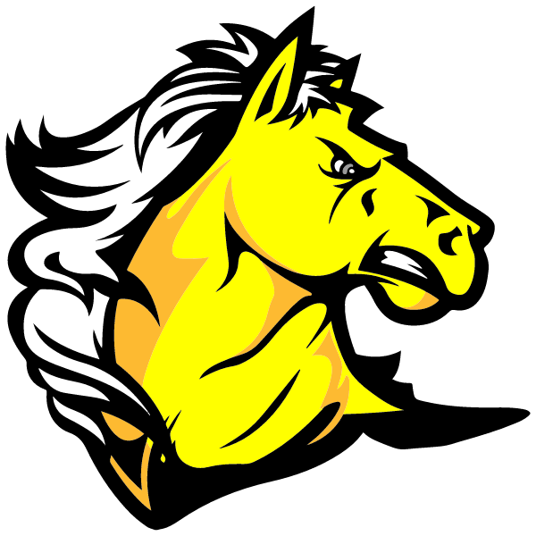 Yorkville Christian High School Logo