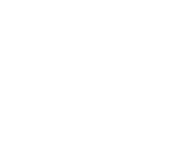 Nueces Canyon High School Logo