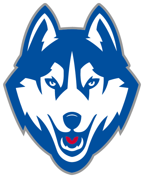 Diamond Central Academy Logo