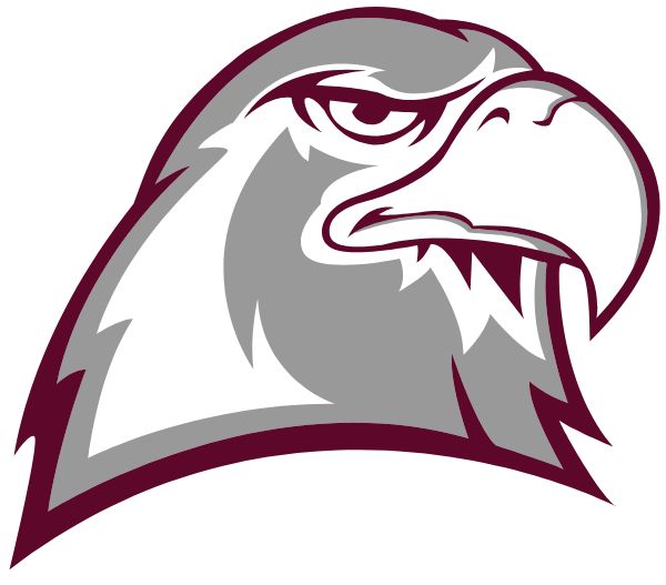 Envision Science Academy Sideline Store Eagles (WAKE FOREST, NORTH CAROLINA) Spirit Apparel & Accessories Store