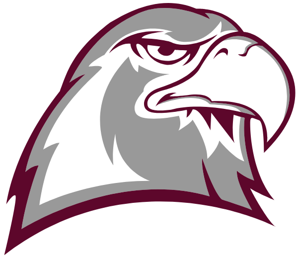 Envision Science Academy Logo