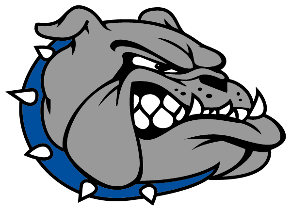 Nampa High School Logo