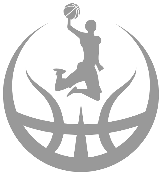 Flight Basketball Logo