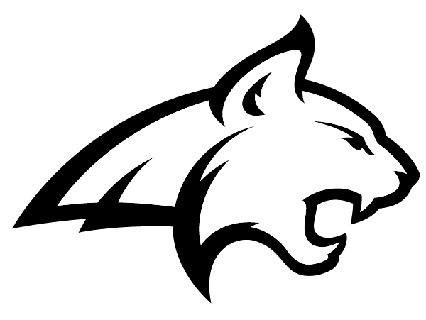 New Life Academy Logo