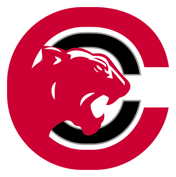 Detroit Collegiate High School Logo