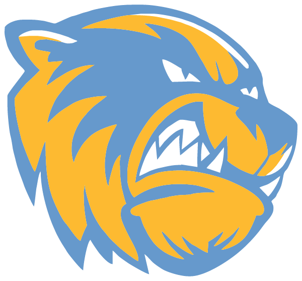 Dillingham High School Logo