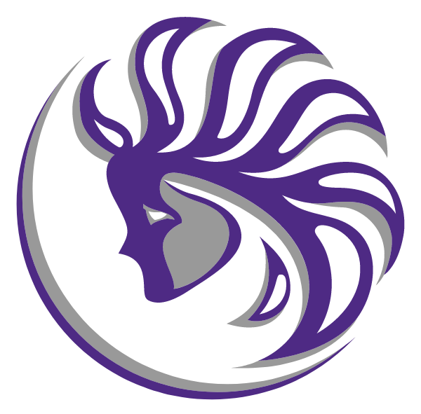 Banshees Basketball Logo
