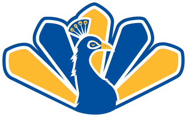 Idea Academy - Rio Grande City Logo