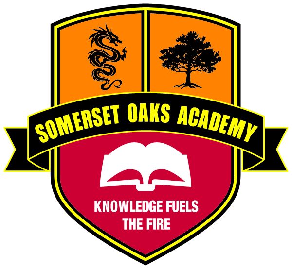 Somerset Oaks Academy Sideline Store Dragons (HOMESTEAD, FLORIDA) Spirit Apparel & Accessories Store