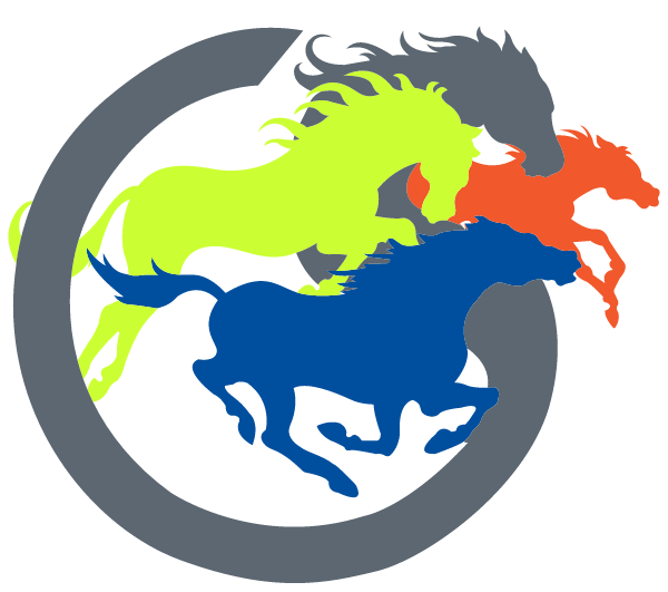 Summerfield Charter Academy Logo