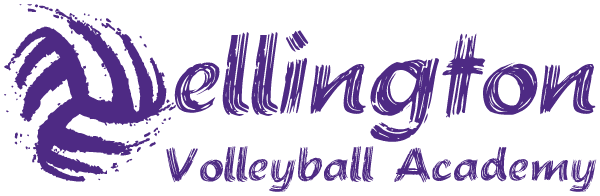 Wellington Volleyball Academy Logo