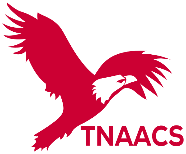 The New American Academy Charter School Logo