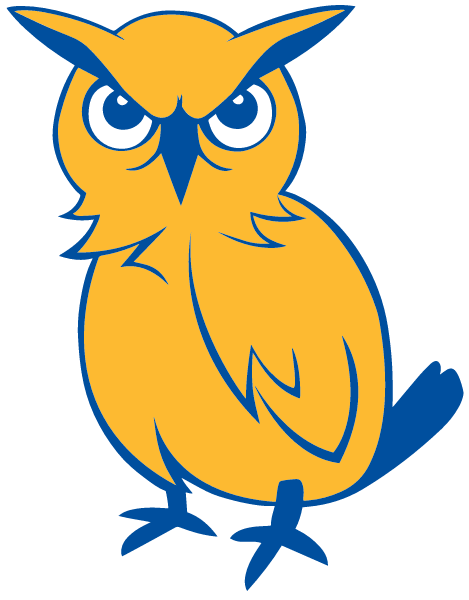 Idea South Flores Academy Logo