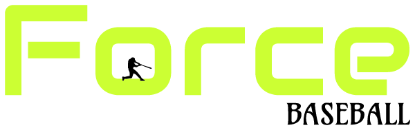Force Baseball 07 Logo