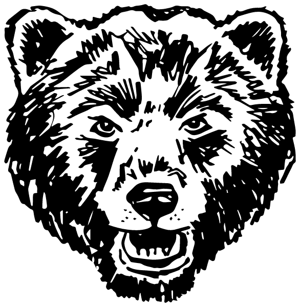 Mount Airy Middle School Logo