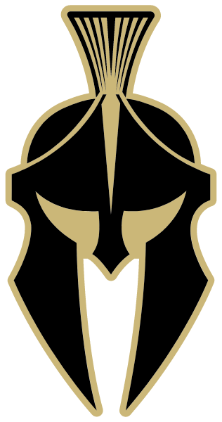 The New Standard Academy Logo