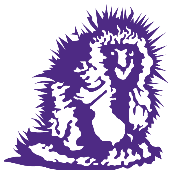 Nashua School District 13 - E Logo
