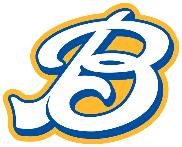 Brighter Side Christian Academy Logo