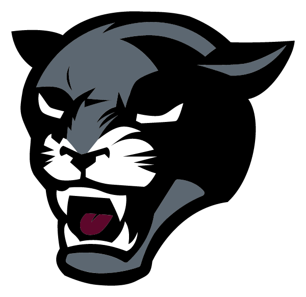 Northeast Bradford High School Logo