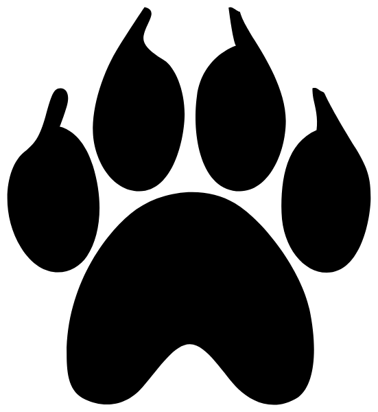 D3 Leopards Cheer Logo