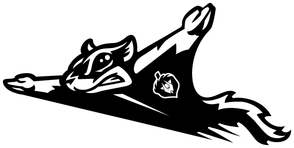 West Texas Flying Squirrels Logo