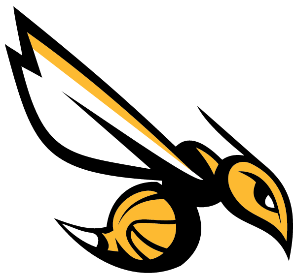 The Winner School Logo