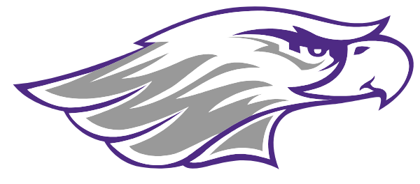 Danville Youth Cheerleaders Logo