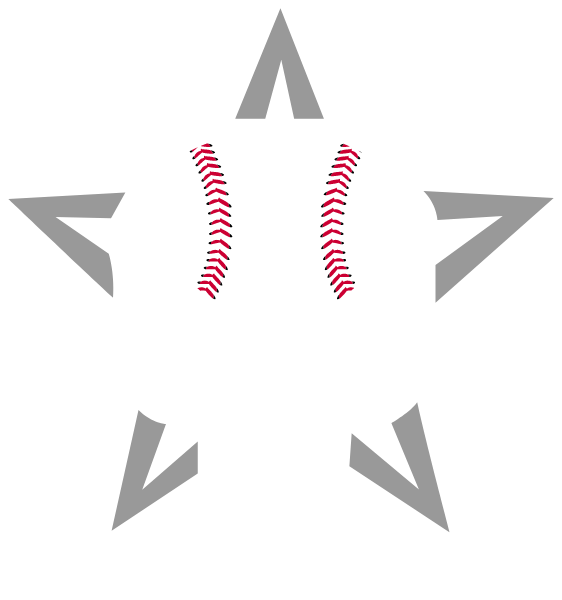 Mansfield Punishers Baseball Logo