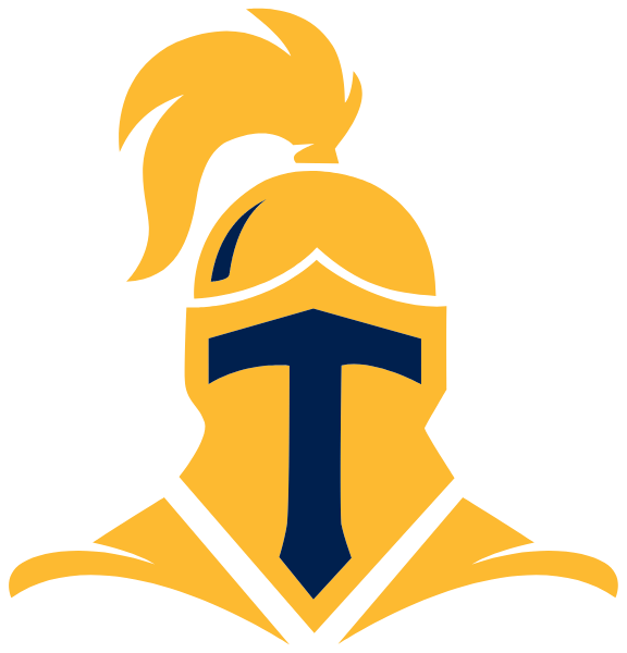 Tekoa Academy - Orange Logo
