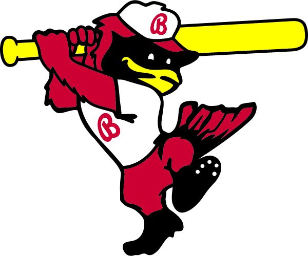 Cardinal Baseball Booster Club Sideline Store Cardinals (BELLAIRE, TEXAS) Spirit Apparel & Accessories Store