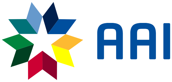 American Academy Of Innovation Logo
