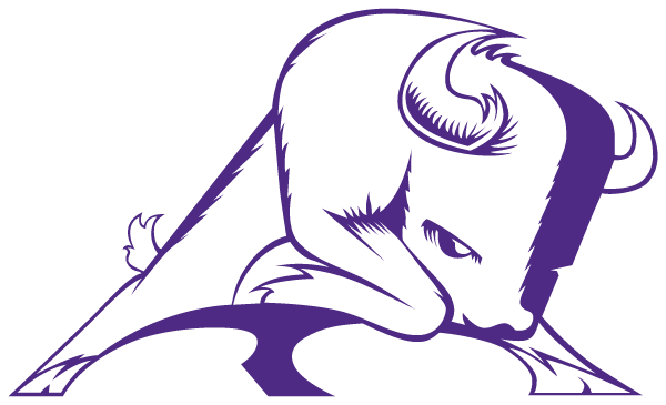 Sunset Cheer Booster Logo