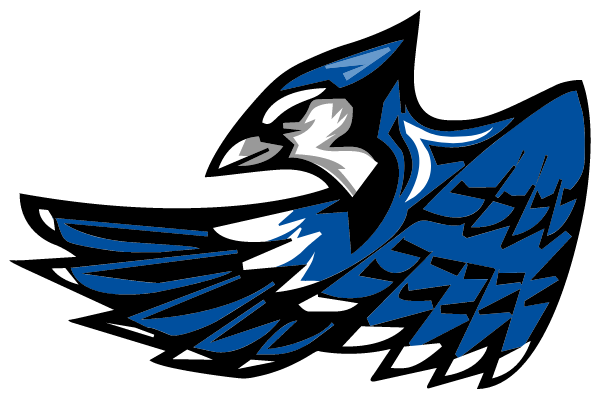 Snook High School Logo