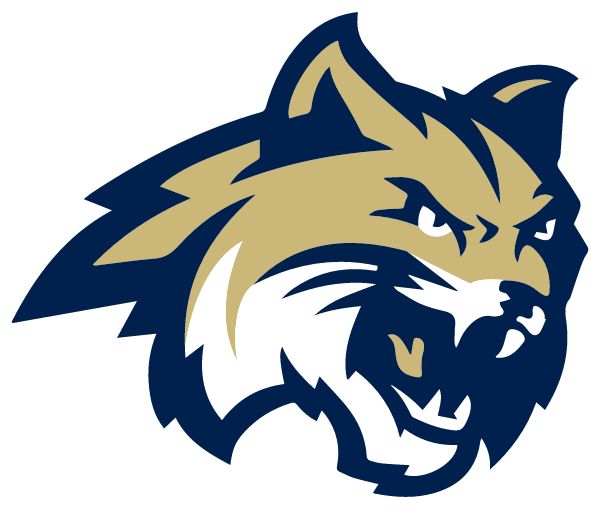 Renaissance Academy Sideline Store Wildcats (PASADENA, CALIFORNIA) Spirit Apparel & Accessories Store