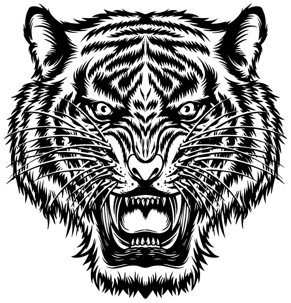 Nick Evans Sports Academy Logo