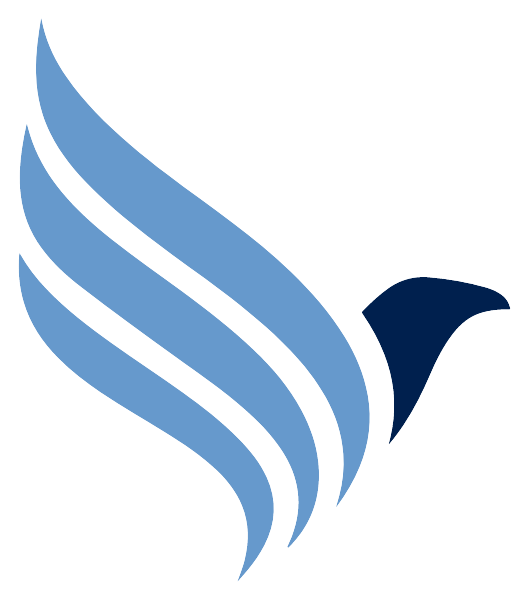 Blackhawk Academy Logo