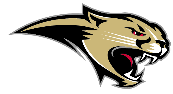 Cardinal Mooney High School Logo