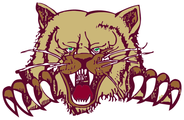 Ray High School Logo