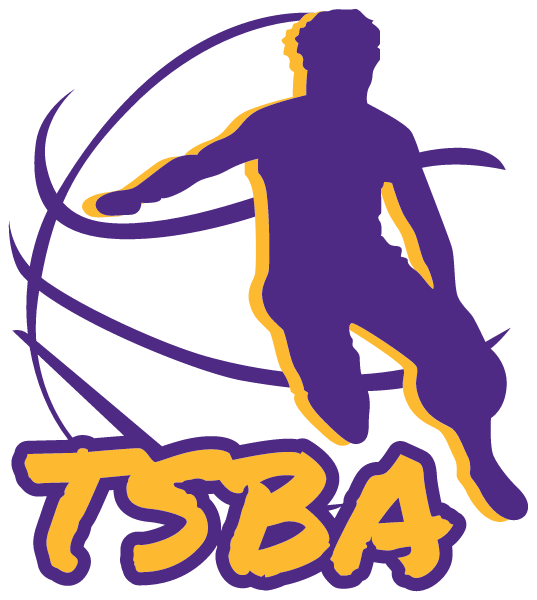 Terry Schriver Basketball Academy Logo