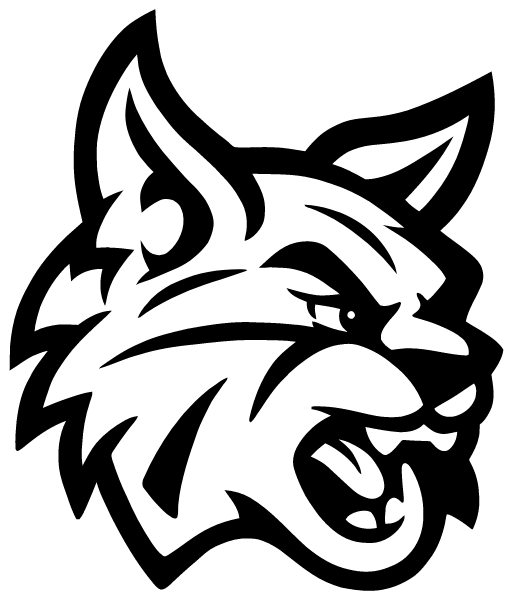 Basis Independent School Manhattan Logo