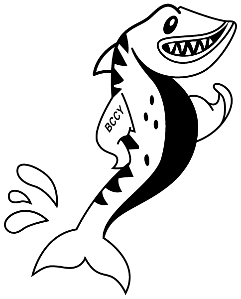 Barracuda Swim Logo