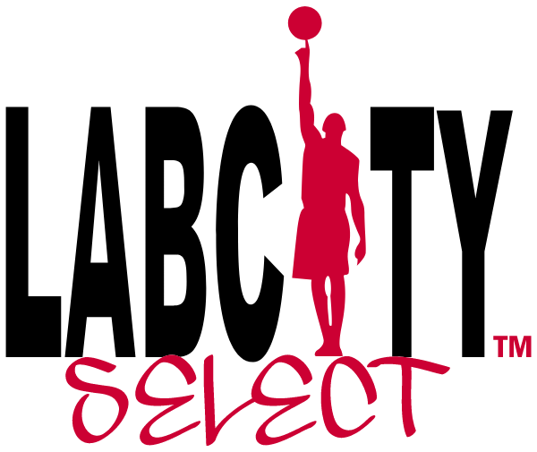 Labcity Select Logo
