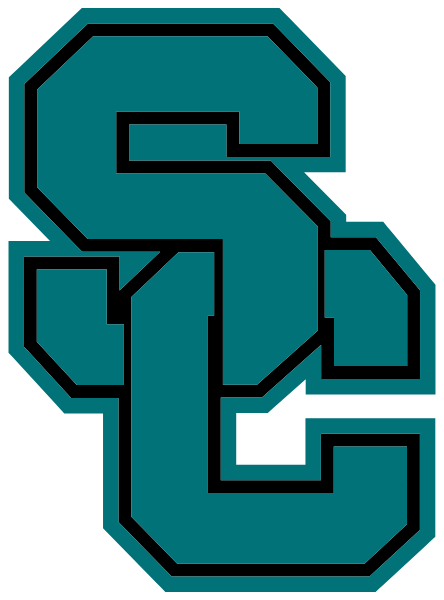 Southern Chaos Fast Pitch Softball Logo