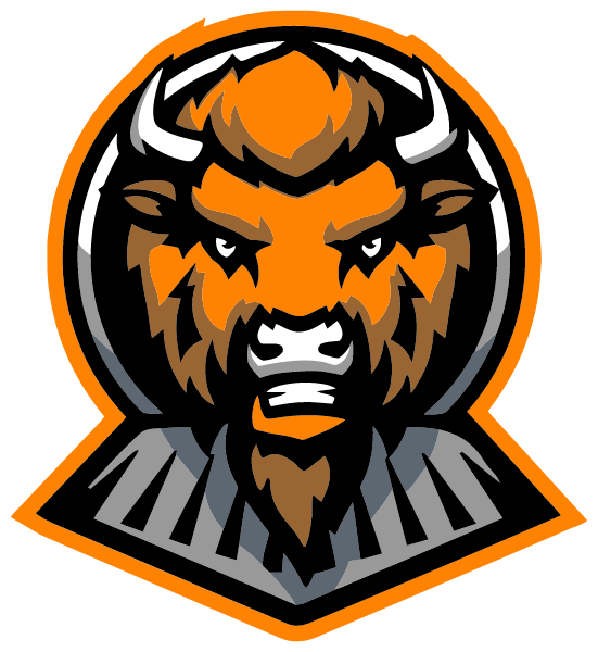 Chicago Power Indoor Football Logo