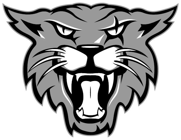 Sonia Sotomayor High School Sideline Store Wildcats (SAN ANTONIO, TEXAS) Spirit Apparel & Accessories Store