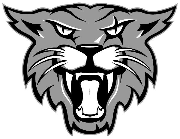 Sonia Sotomayor High School Logo