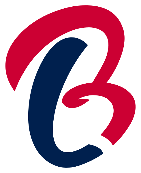 Lady Braves Fastpitch Logo