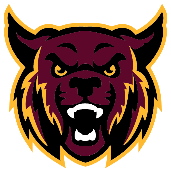 Friends Of Newberry Academy Logo